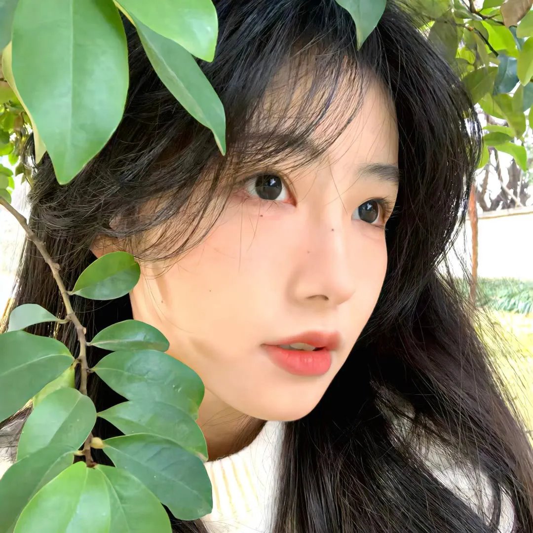 矿区危情