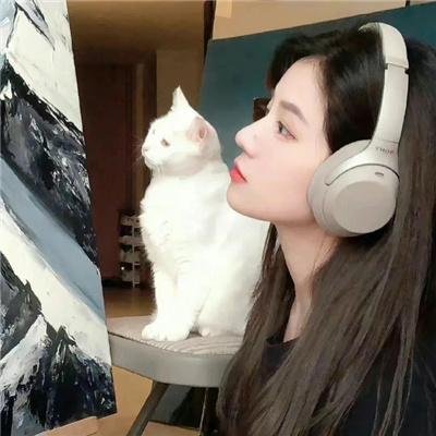流浪猫鲍勃2：鲍勃的礼物